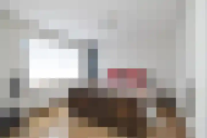 De Schans 101 Hoornaar thumbnail 24