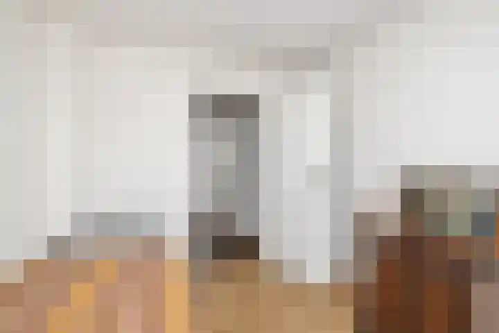 De Schans 101 Hoornaar thumbnail 27
