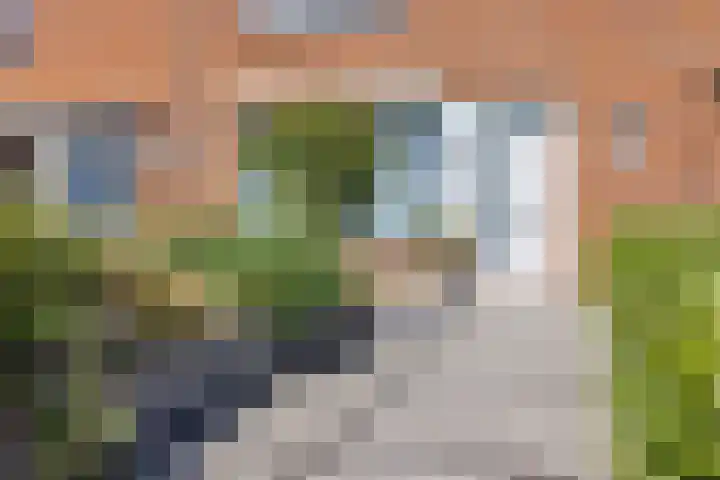 De Schans 101 Hoornaar thumbnail 4