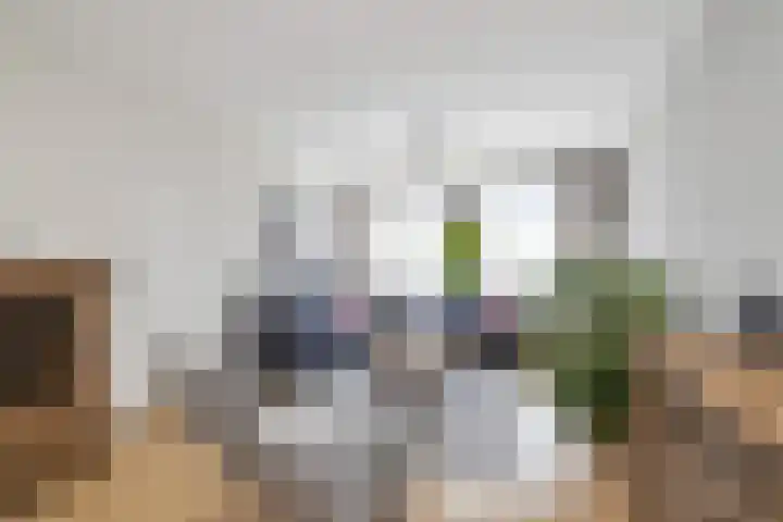 De Schans 101 Hoornaar thumbnail 6
