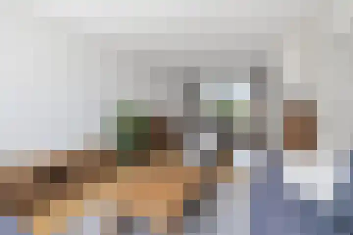 De Schans 101 Hoornaar thumbnail 7