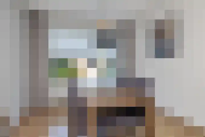 De Schans 101 Hoornaar thumbnail 8