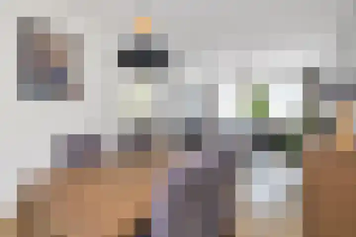 De Schans 101 Hoornaar thumbnail 9