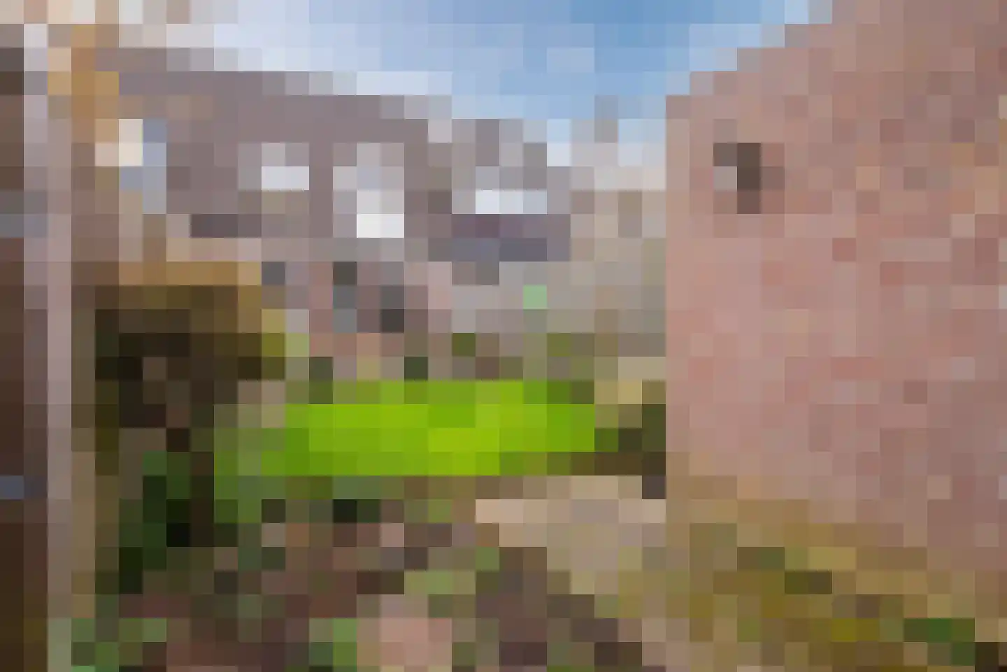 De Schans 15 15 11 Lelystad thumbnail 37