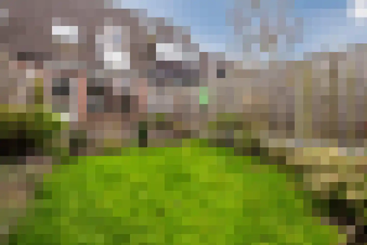 De Schans 15 15 11 Lelystad thumbnail 40