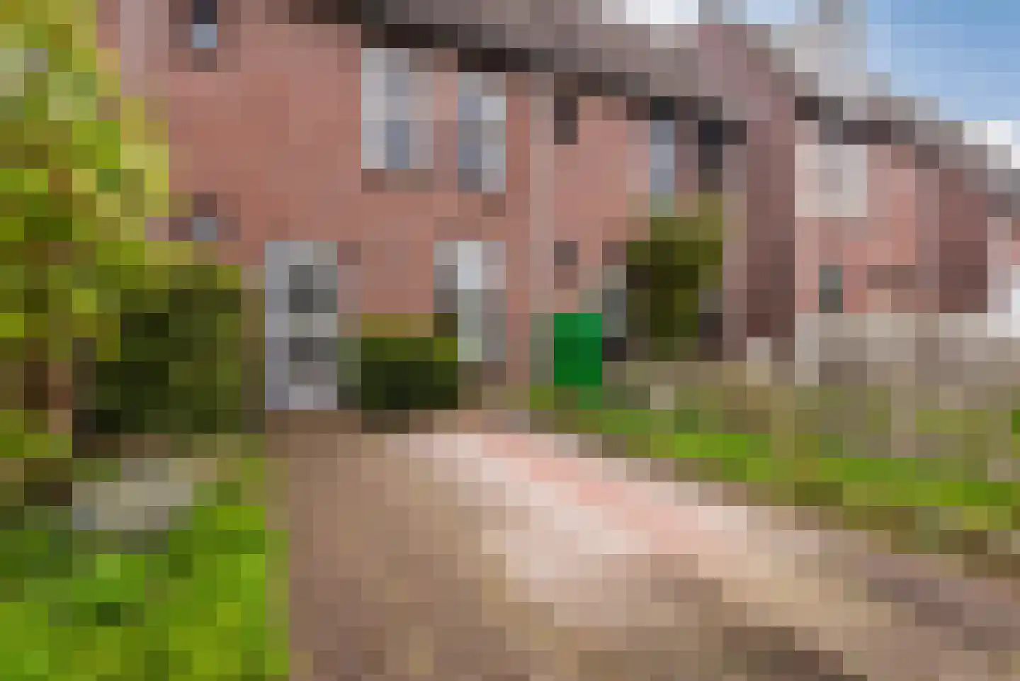 De Schans 15 15 11 Lelystad thumbnail 5