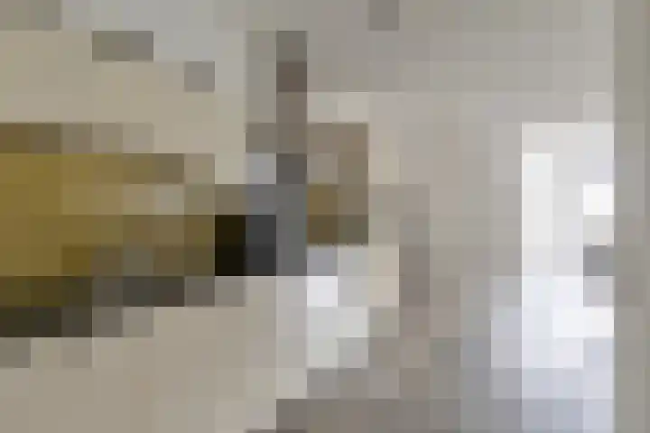 de Schans 17 a Leek thumbnail 8