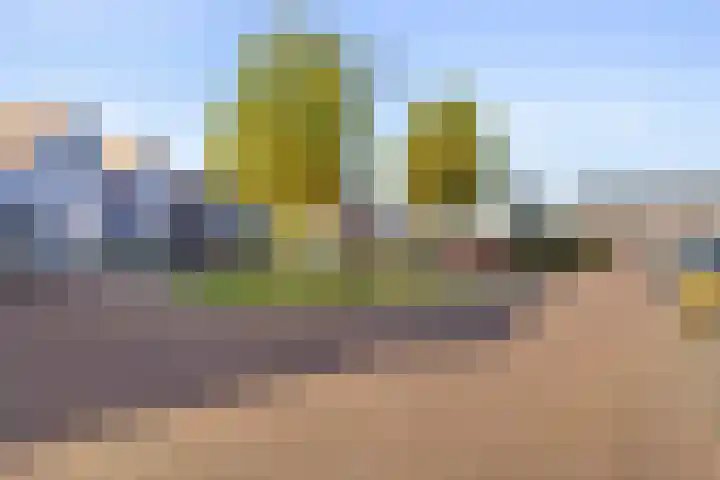 De Schans 17 Heeswijk-Dinther thumbnail 33