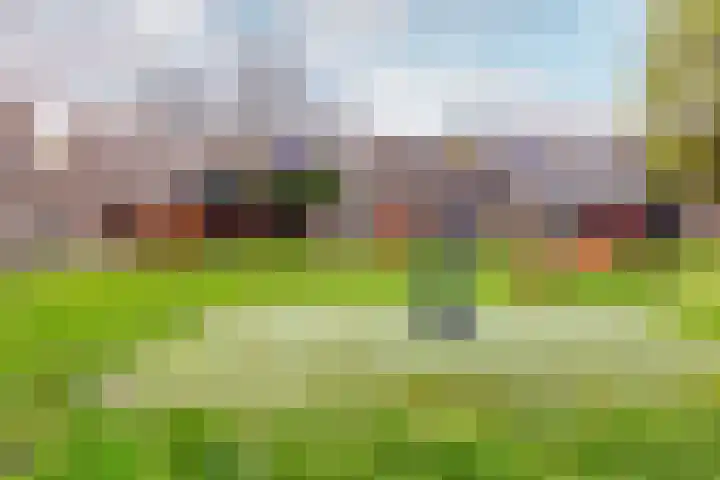De Schans 18 5 Lelystad thumbnail 24