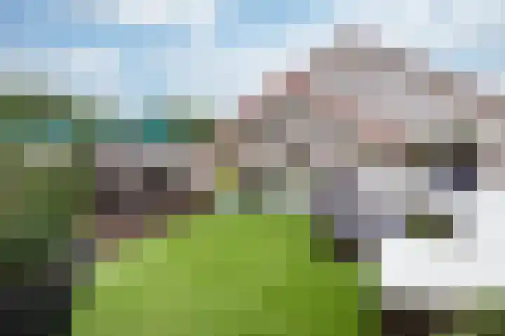De Schans 19 2 Lelystad thumbnail 41