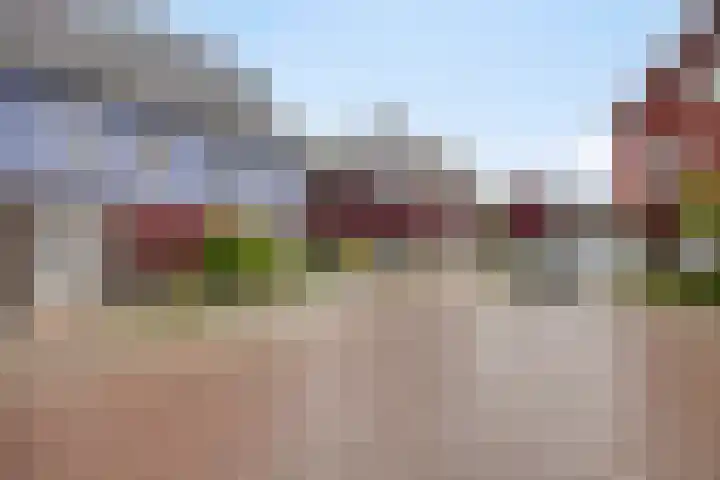 De Schans 19 Heeswijk-Dinther thumbnail 44