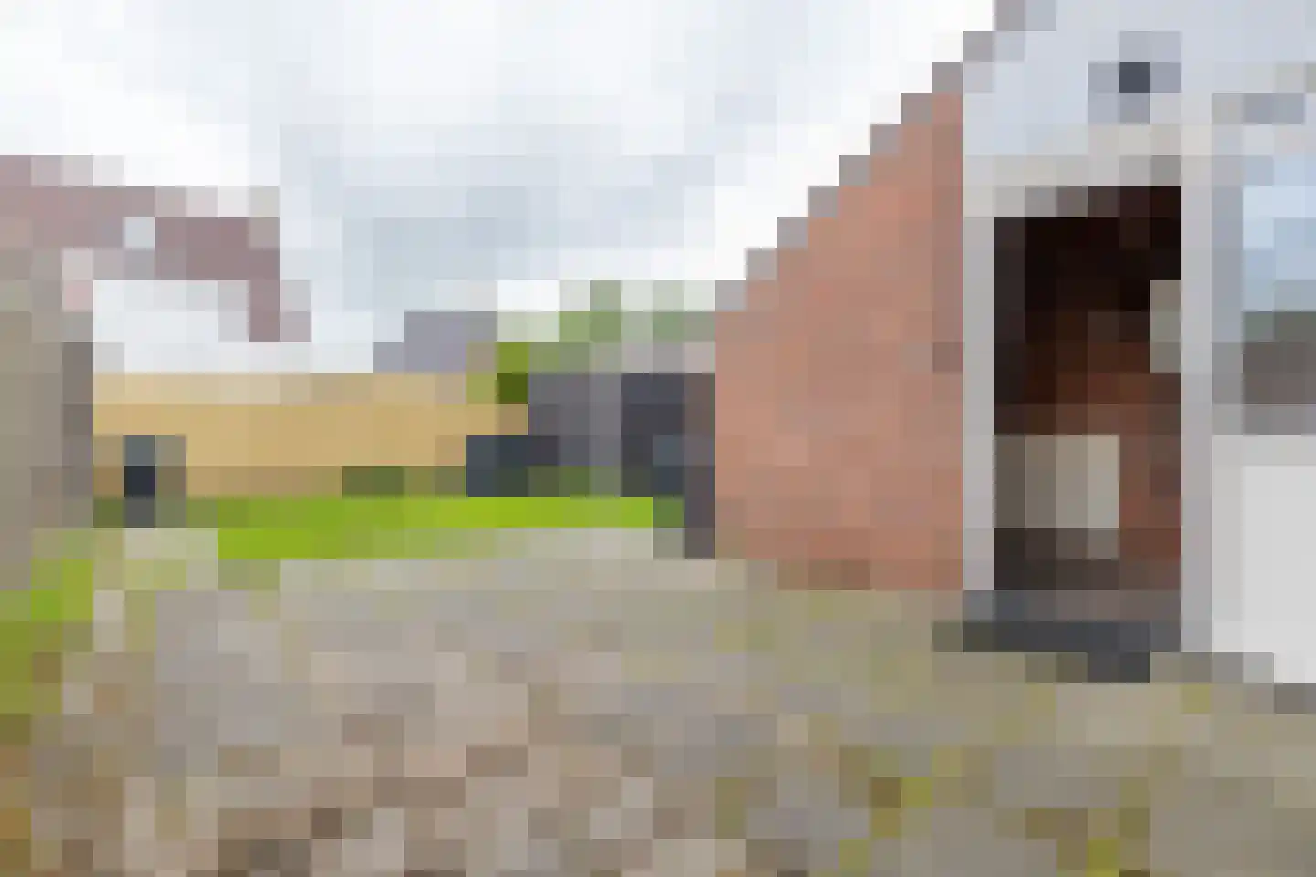 De Schans 19 Zoutkamp thumbnail 35