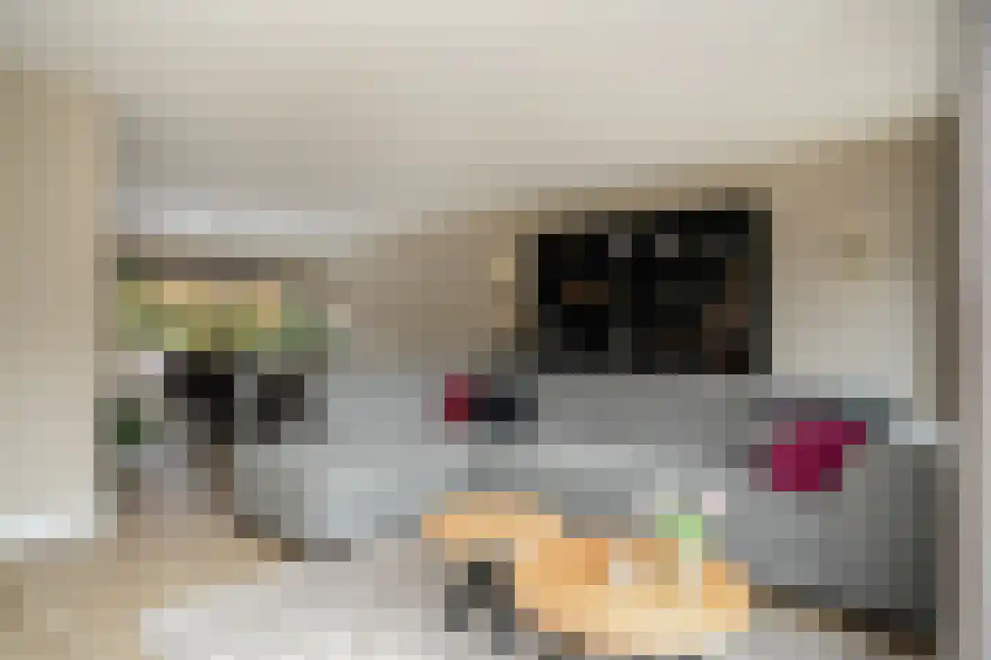 De Schans 2 Ameide thumbnail 12
