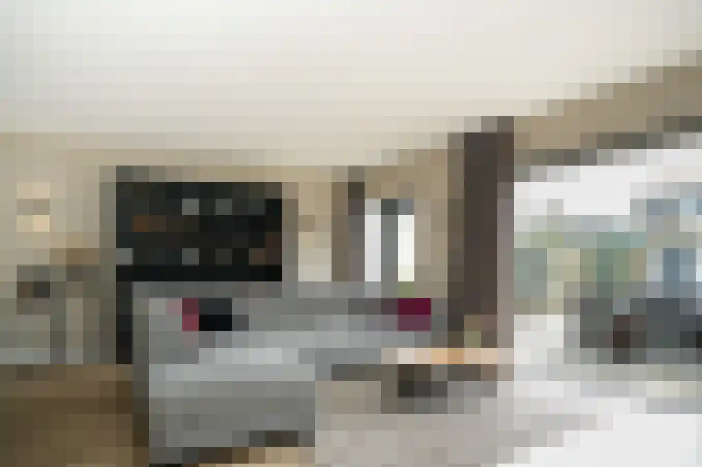 De Schans 2 Ameide thumbnail 14