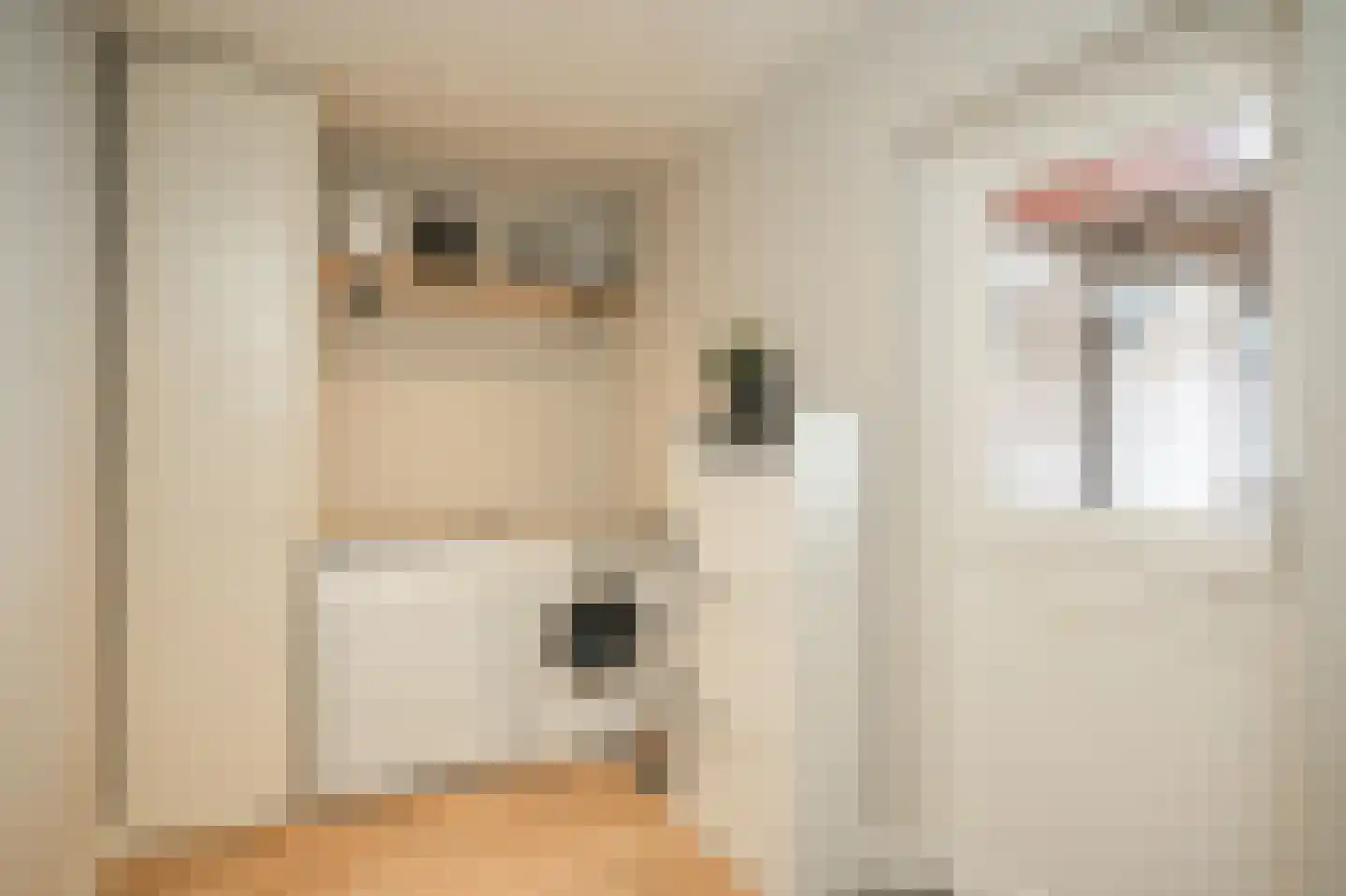 De Schans 2 Ameide thumbnail 19