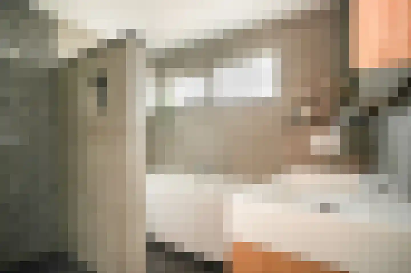 De Schans 2 Ameide thumbnail 22