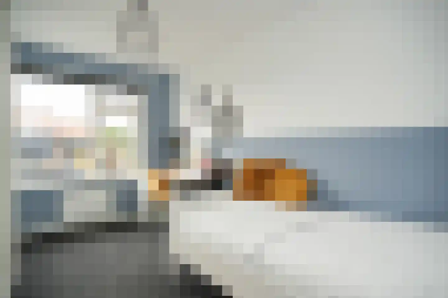 De Schans 2 Ameide thumbnail 25