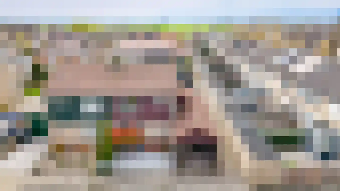 De Schans 2 Ameide thumbnail 37