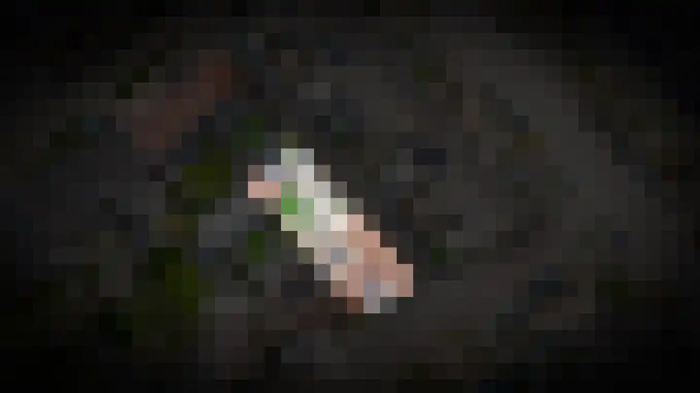 De Schans 2 Ameide thumbnail 38