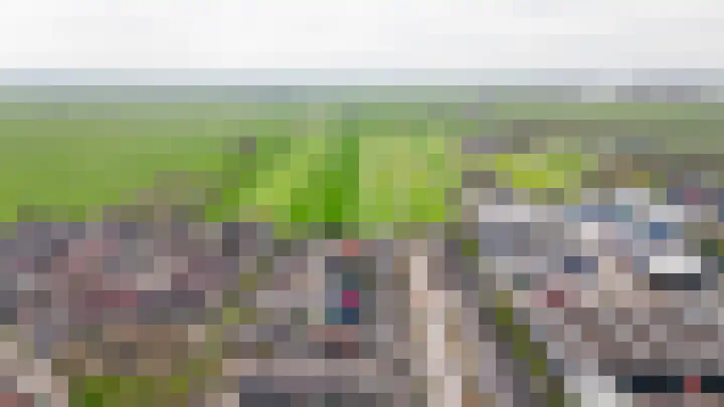 De Schans 2 Ameide thumbnail 39
