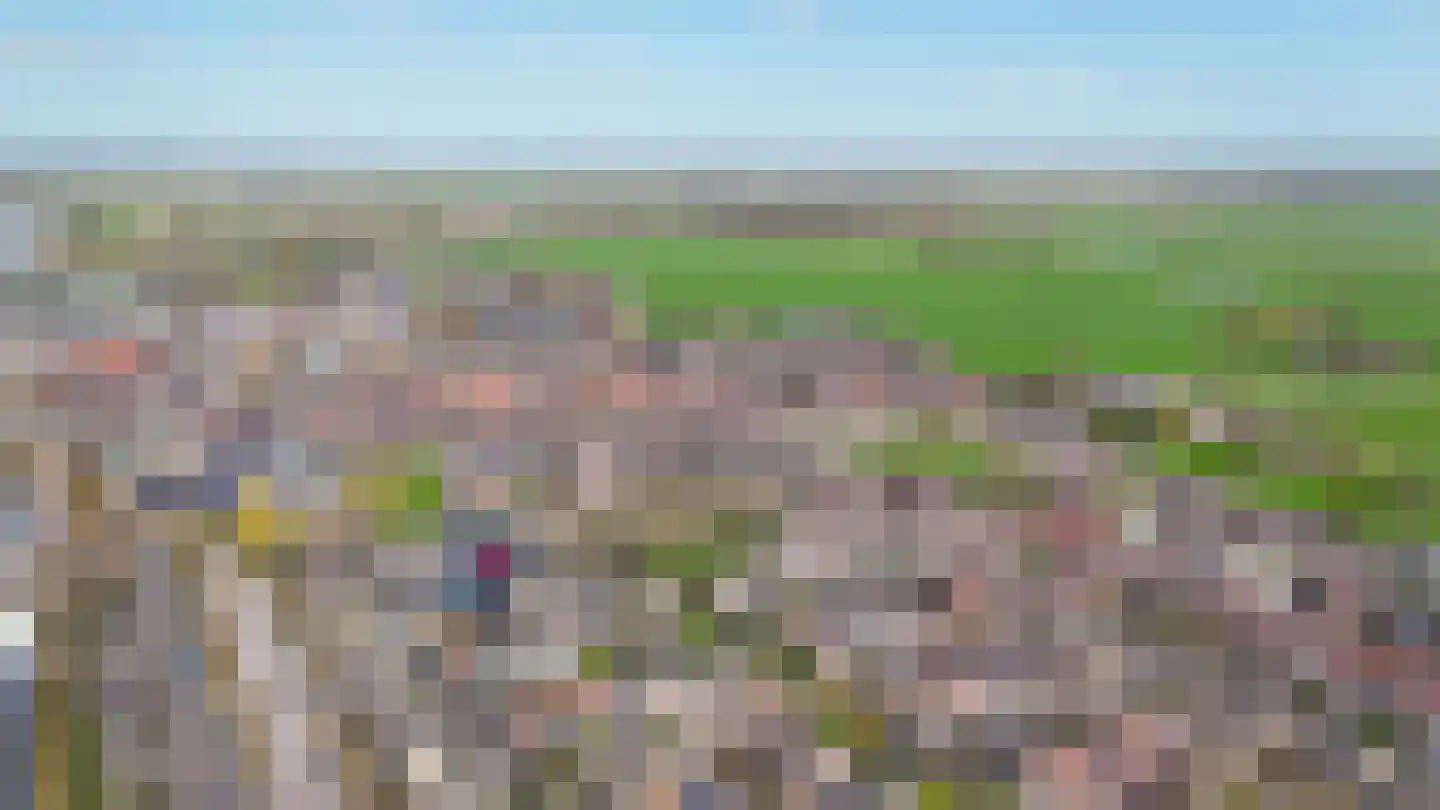 De Schans 2 Ameide thumbnail 41