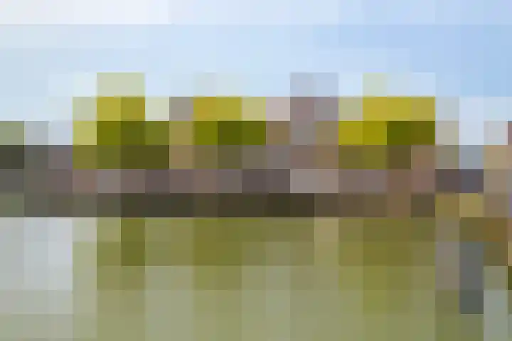 De Schans 2 Maassluis thumbnail 39
