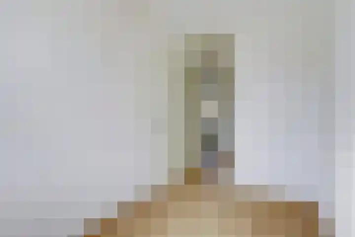 De Schans 2 Maassluis thumbnail 5