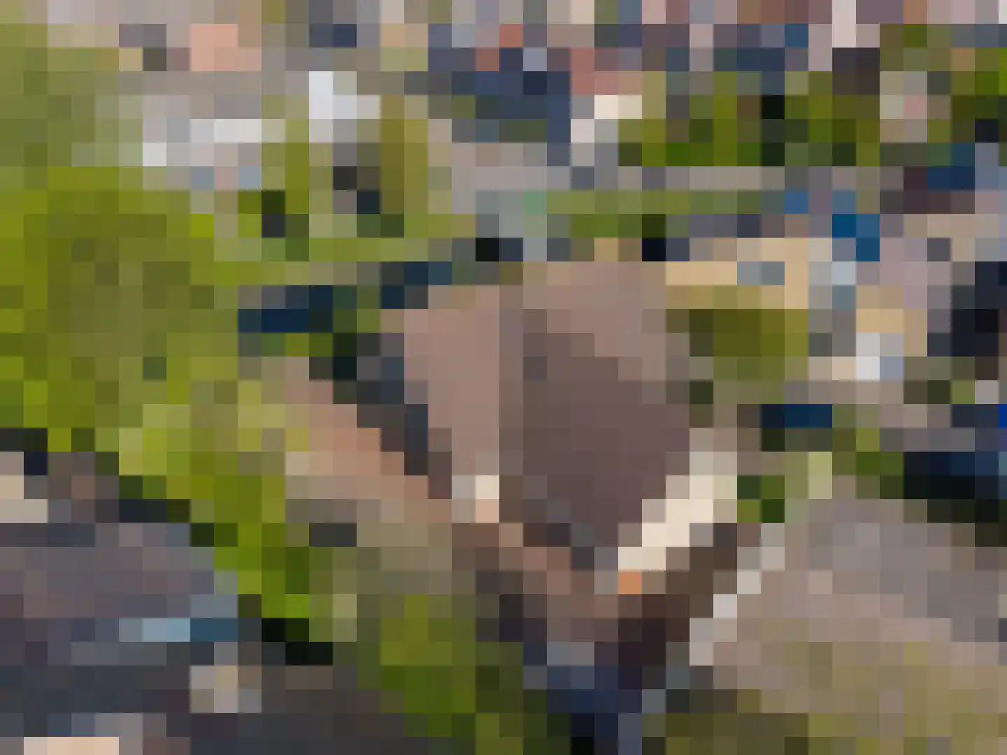 De Schans 2 Rijnsburg thumbnail 43