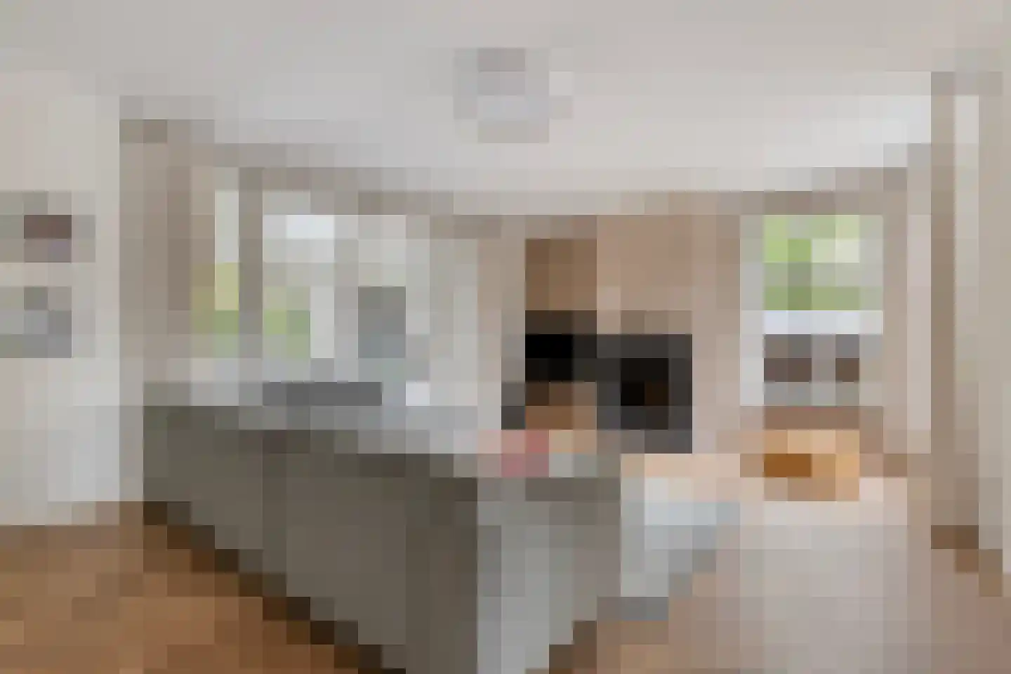 De Schans 20 Haps thumbnail 12