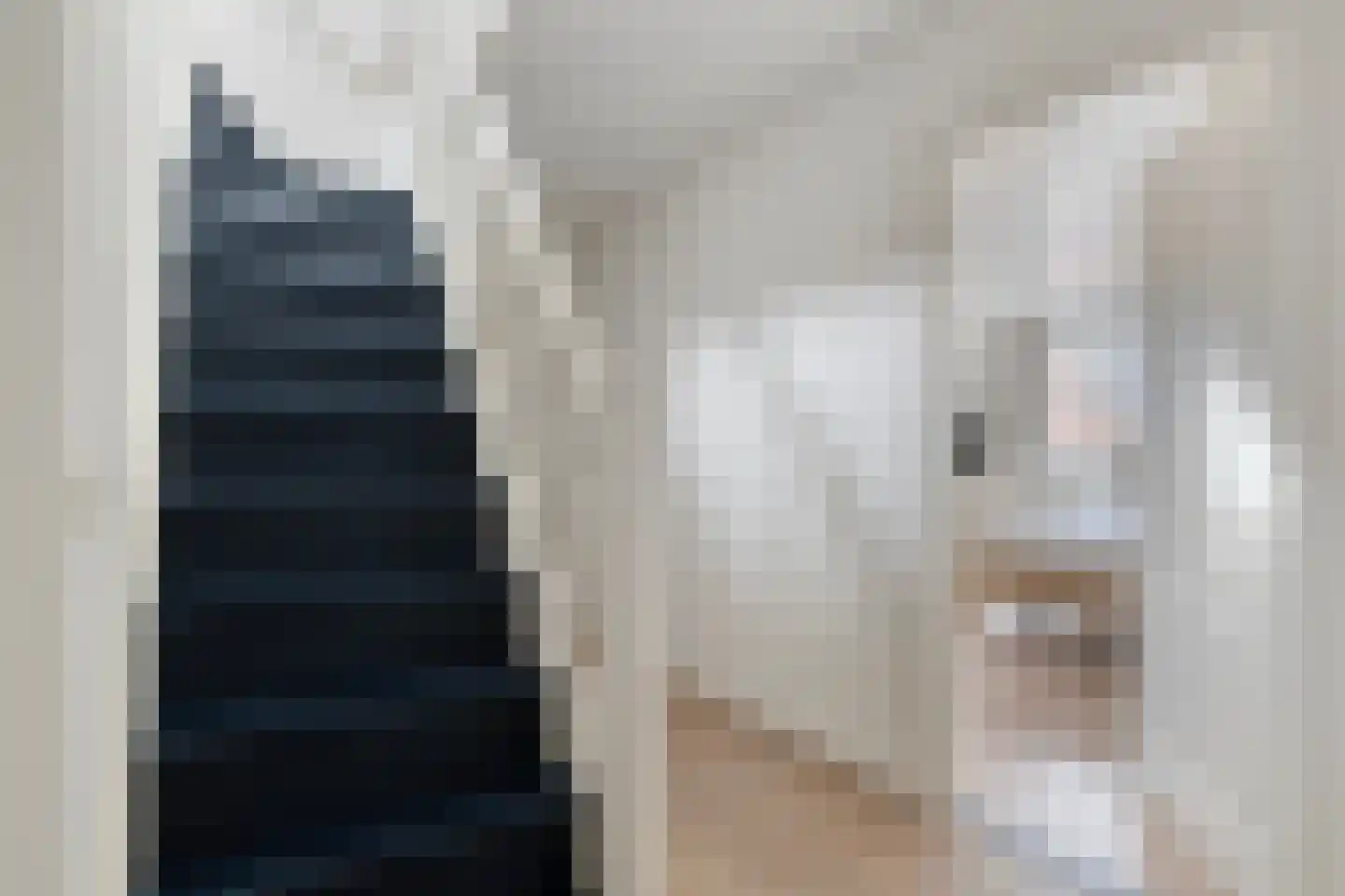 De Schans 20 Haps thumbnail 24