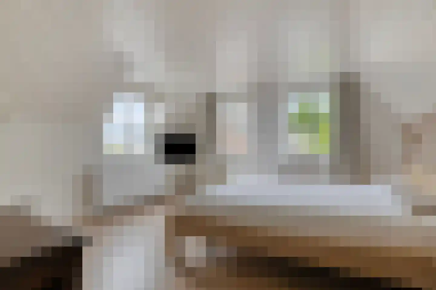 De Schans 20 Haps thumbnail 26