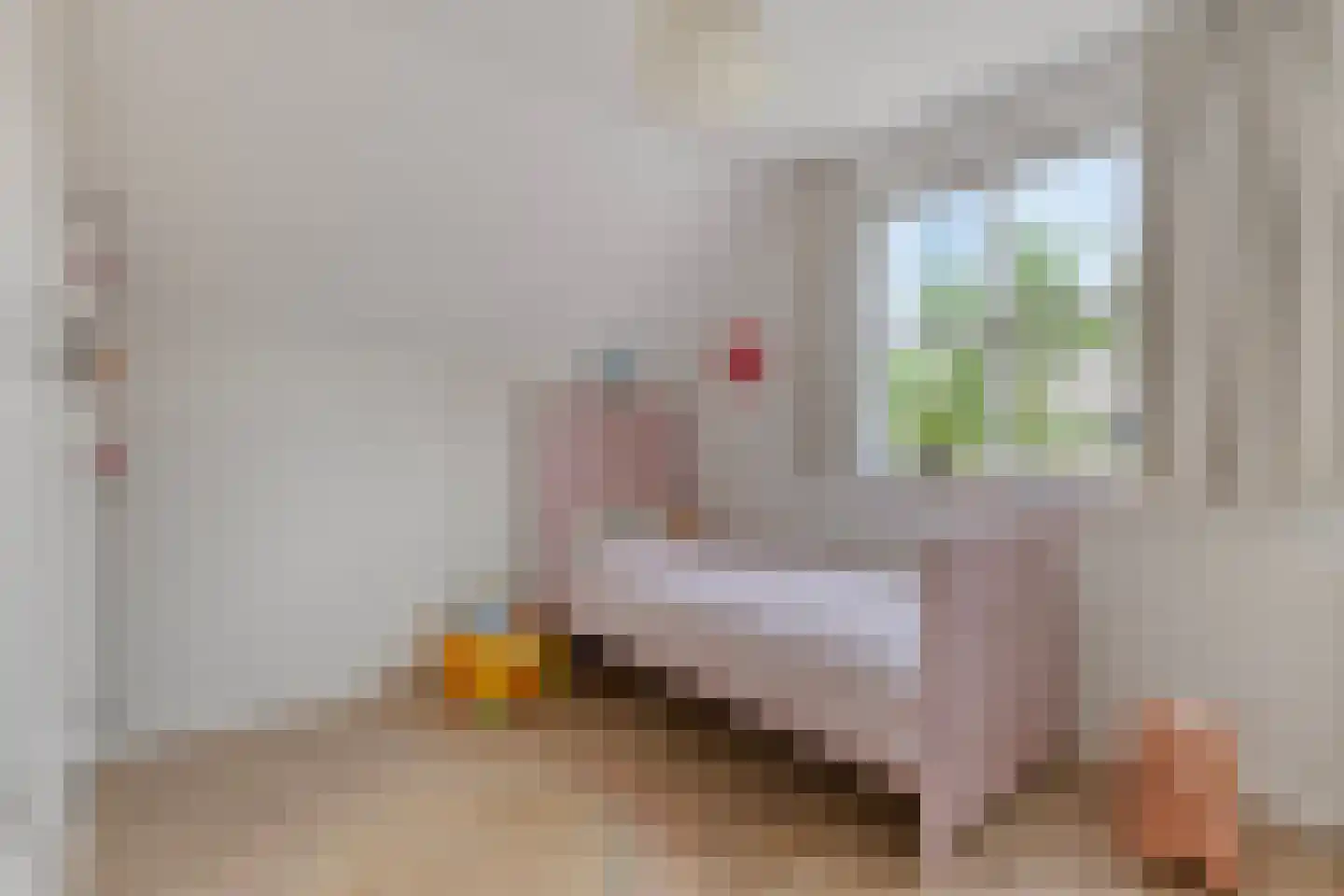 De Schans 20 Haps thumbnail 30