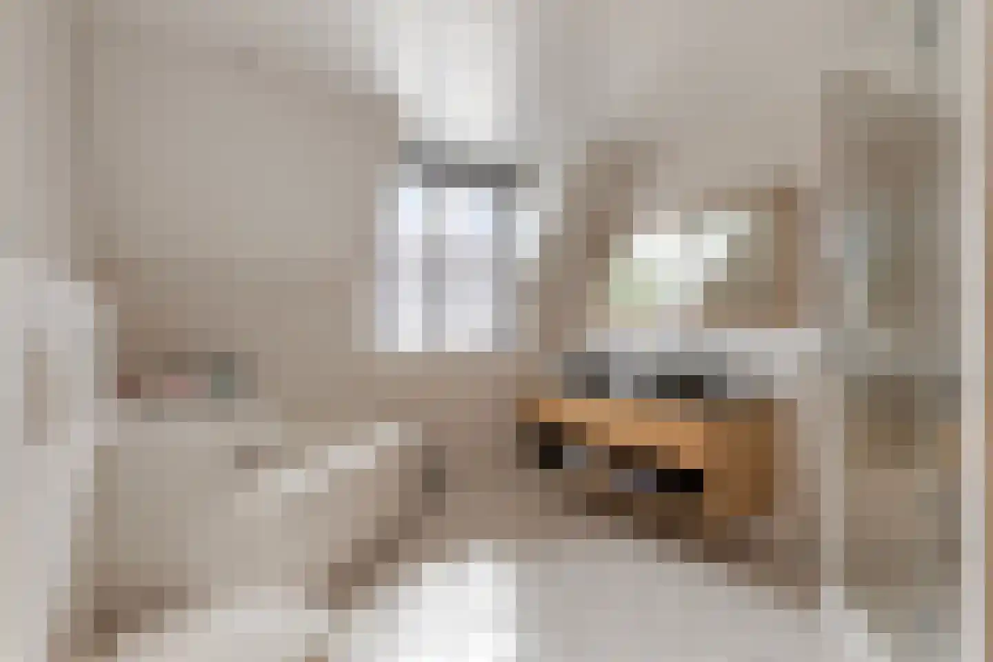 De Schans 20 Haps thumbnail 33
