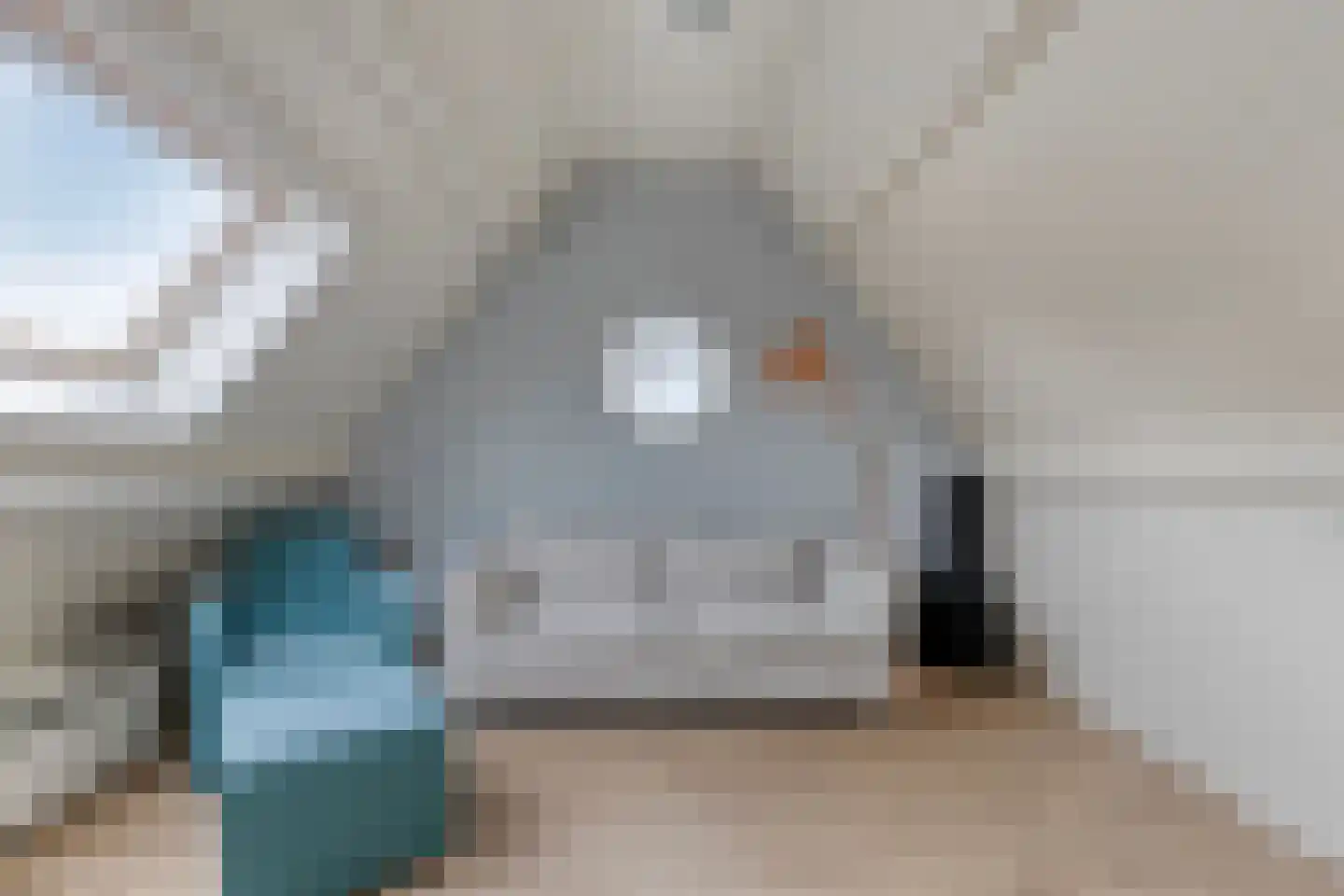 De Schans 20 Haps thumbnail 38