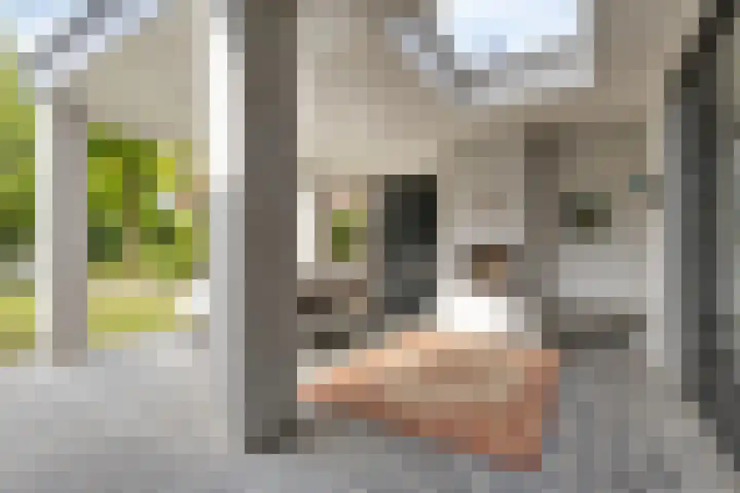 De Schans 20 Haps thumbnail 39