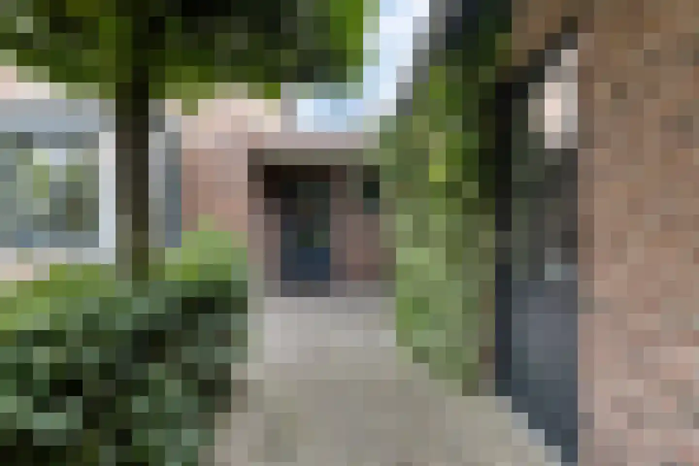 De Schans 20 Haps thumbnail 48