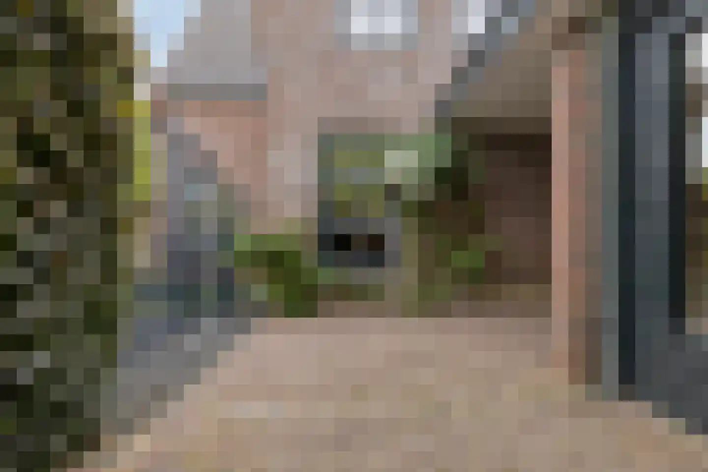 De Schans 20 Haps thumbnail 49
