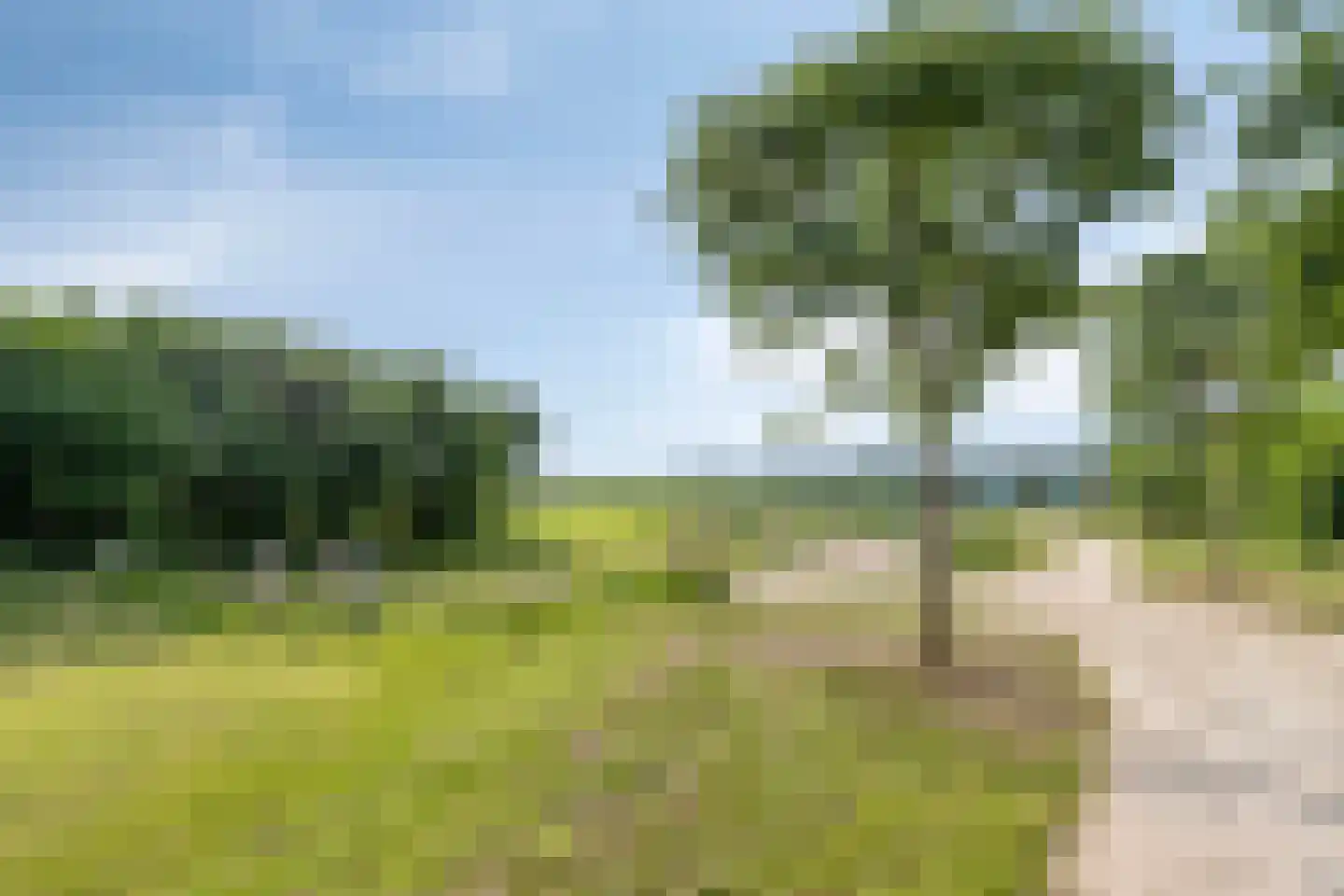 De Schans 20 Haps thumbnail 51