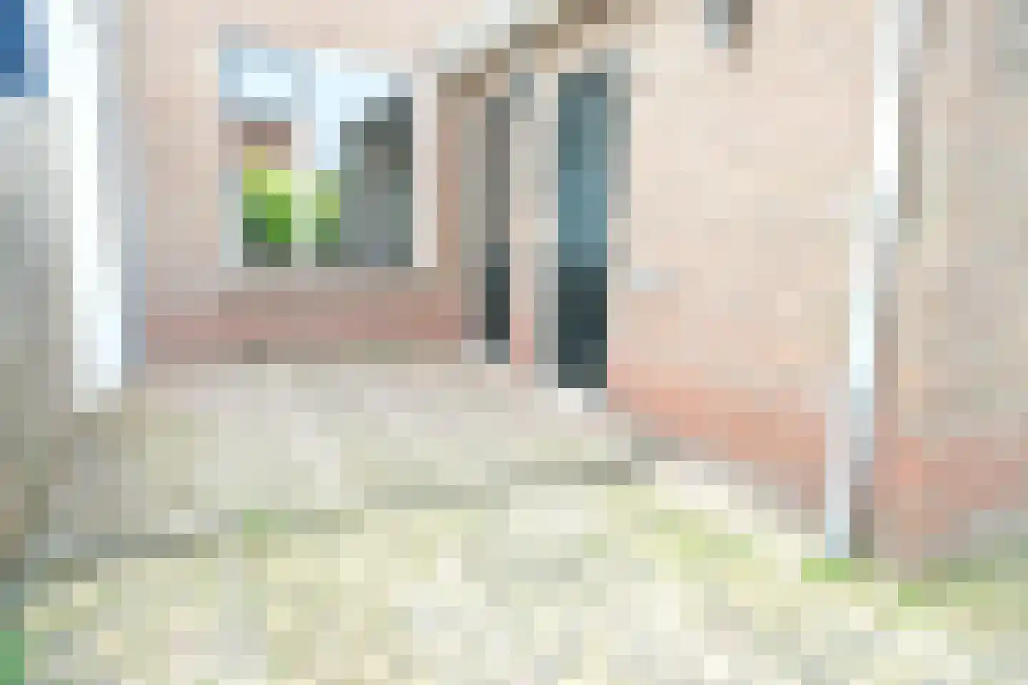 De Schans 21 Hoornaar thumbnail 11