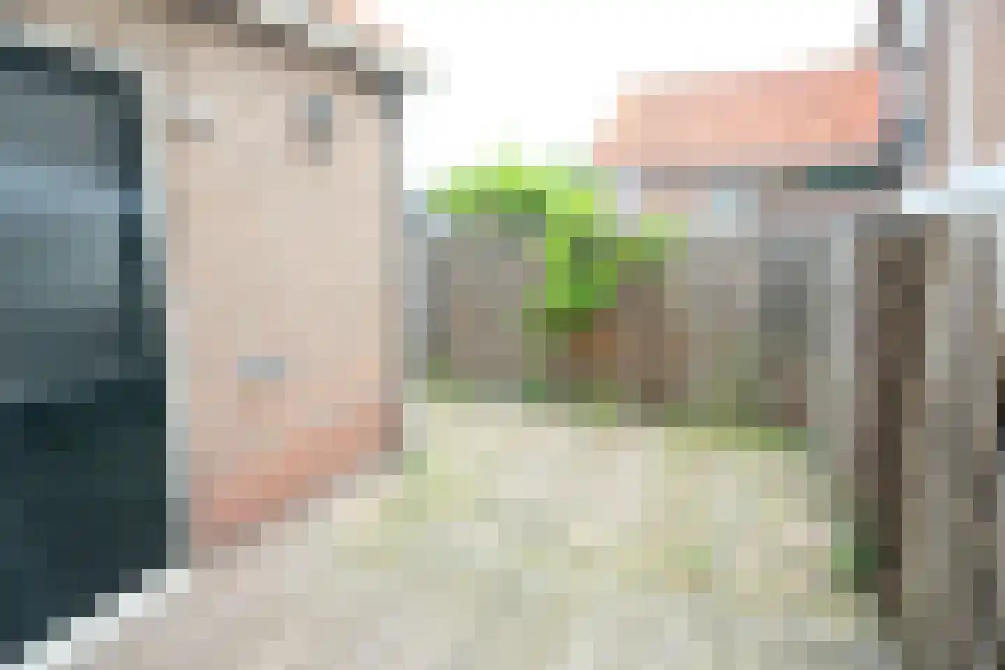 De Schans 21 Hoornaar thumbnail 12
