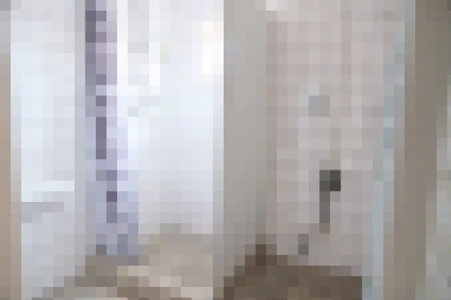 De Schans 21 Hoornaar thumbnail 8