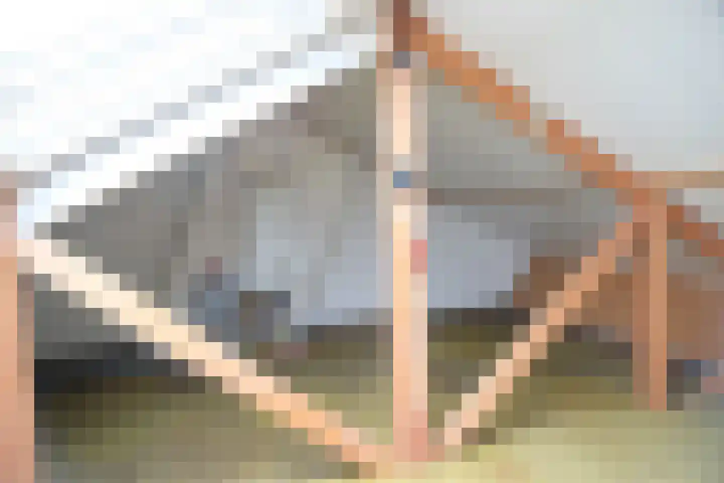 De Schans 21 Hoornaar thumbnail 9