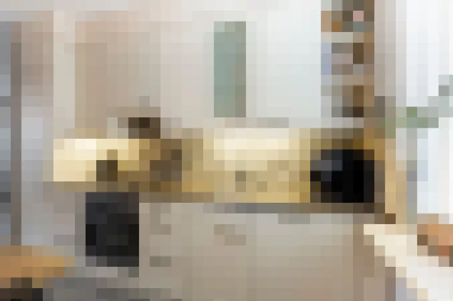 De Schans 22 Ameide thumbnail 16