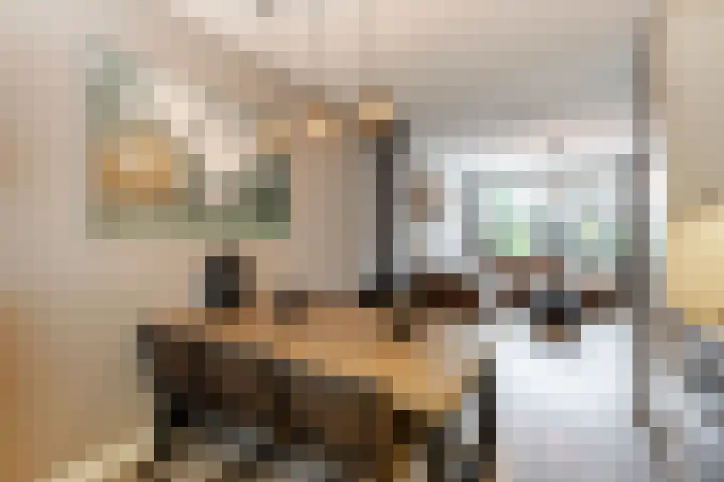 De Schans 22 Ameide thumbnail 17