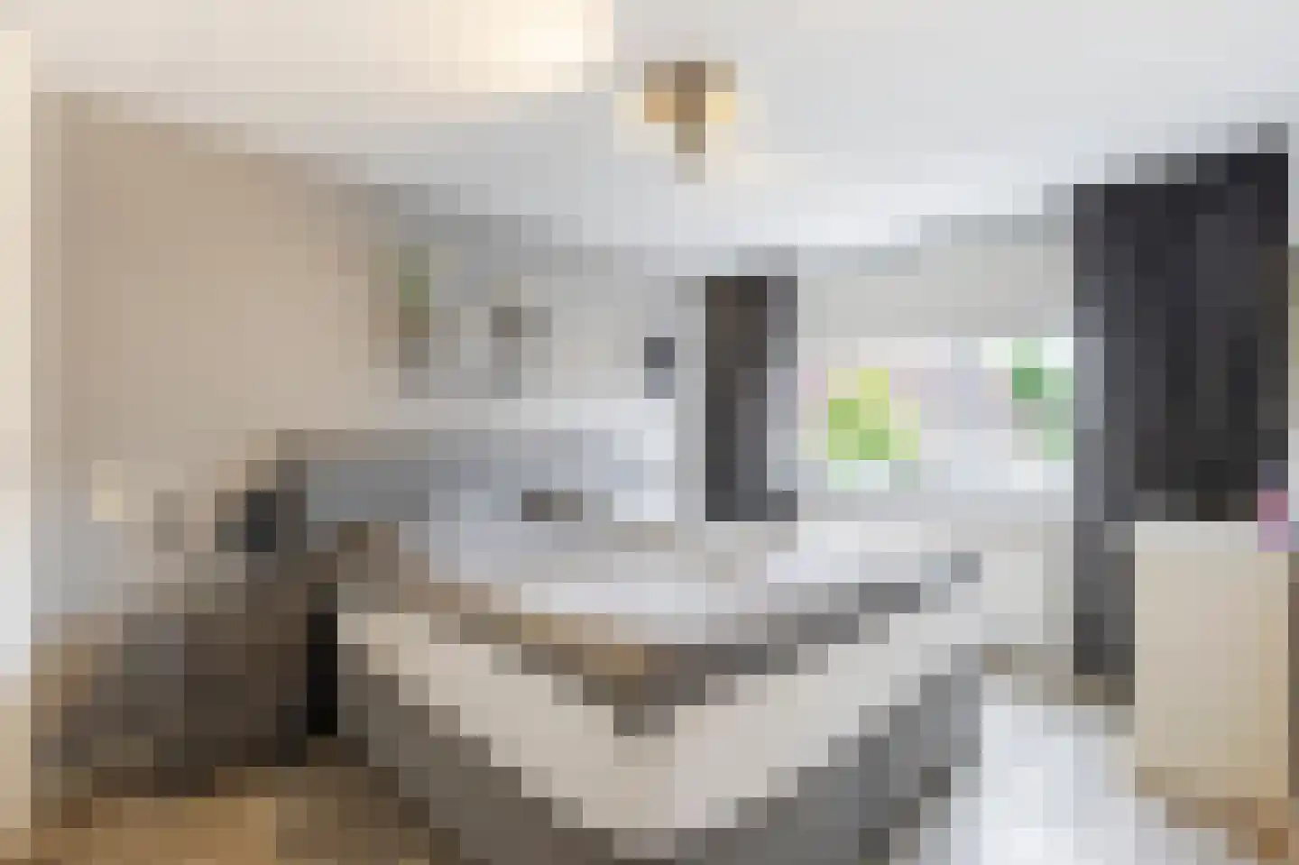 De Schans 22 Ameide thumbnail 20