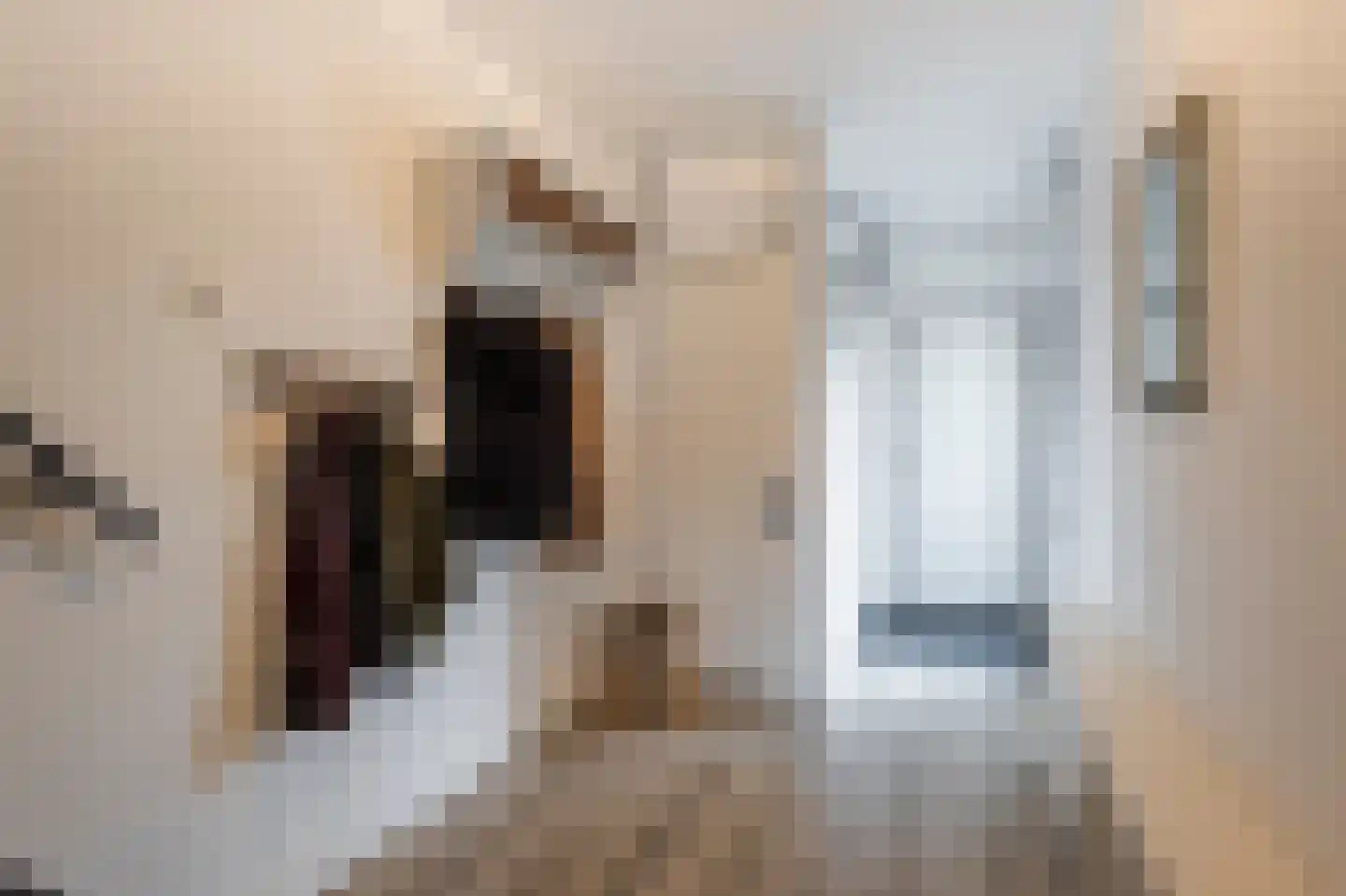 De Schans 22 Ameide thumbnail 8
