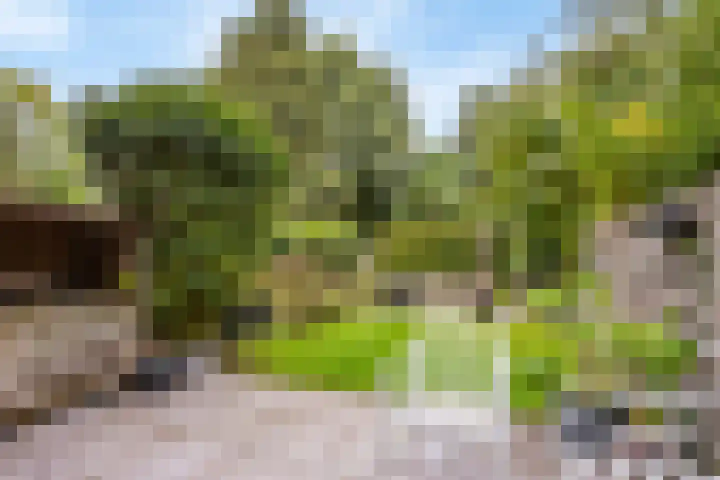 de Schans 22 Leidschendam thumbnail 20