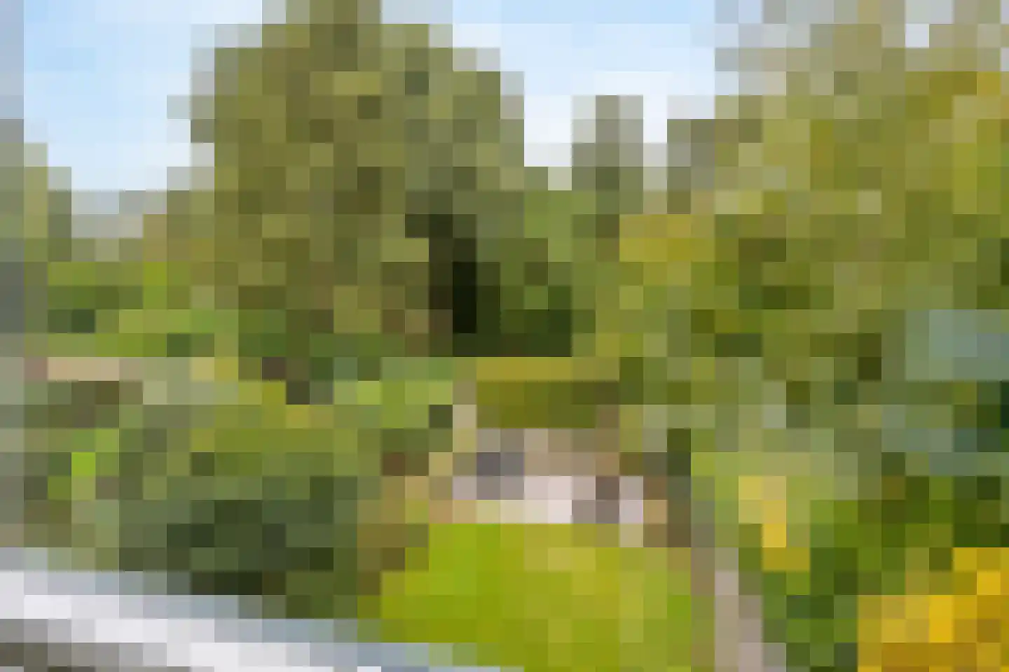 de Schans 22 Leidschendam thumbnail 33