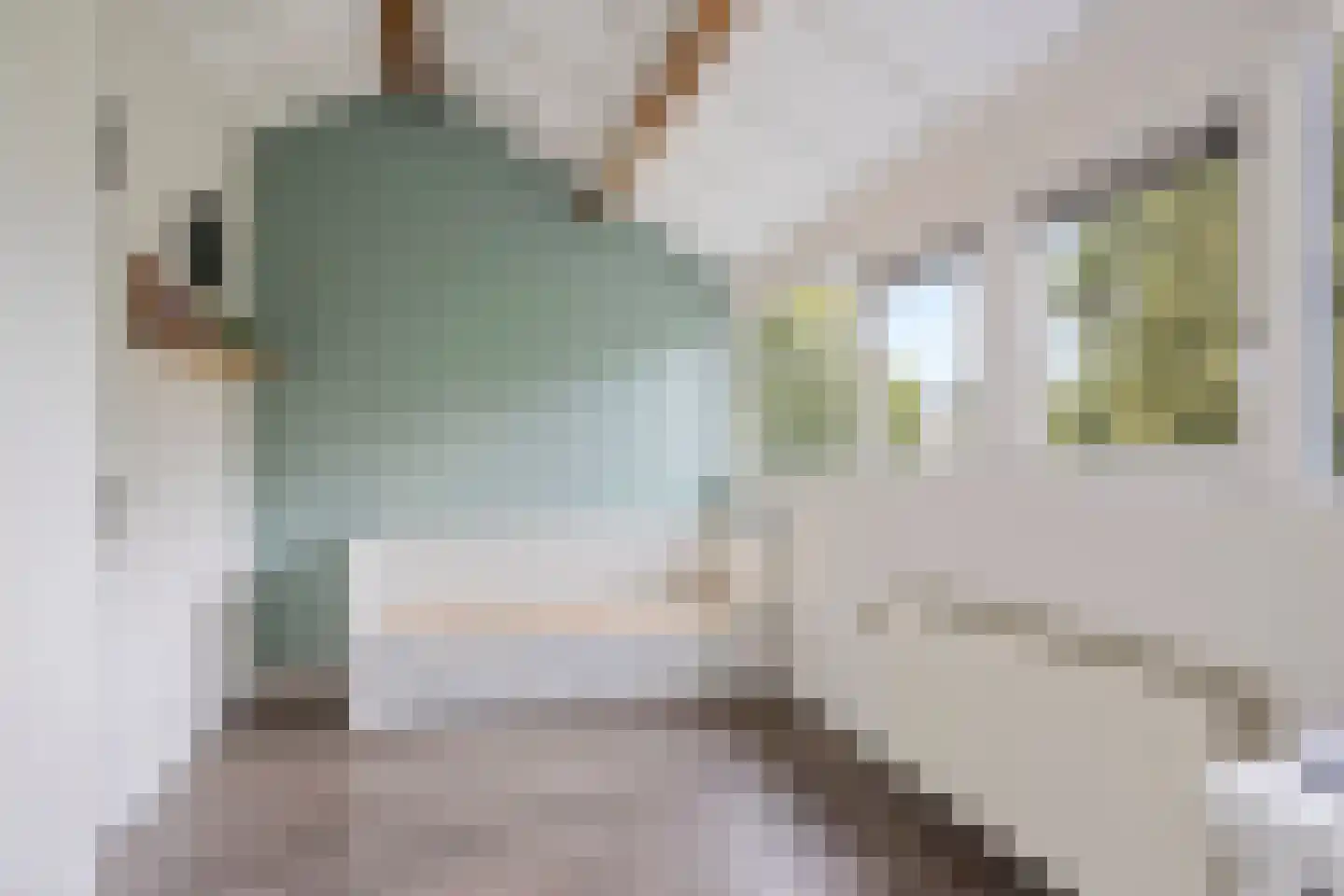 de Schans 22 Leidschendam thumbnail 43