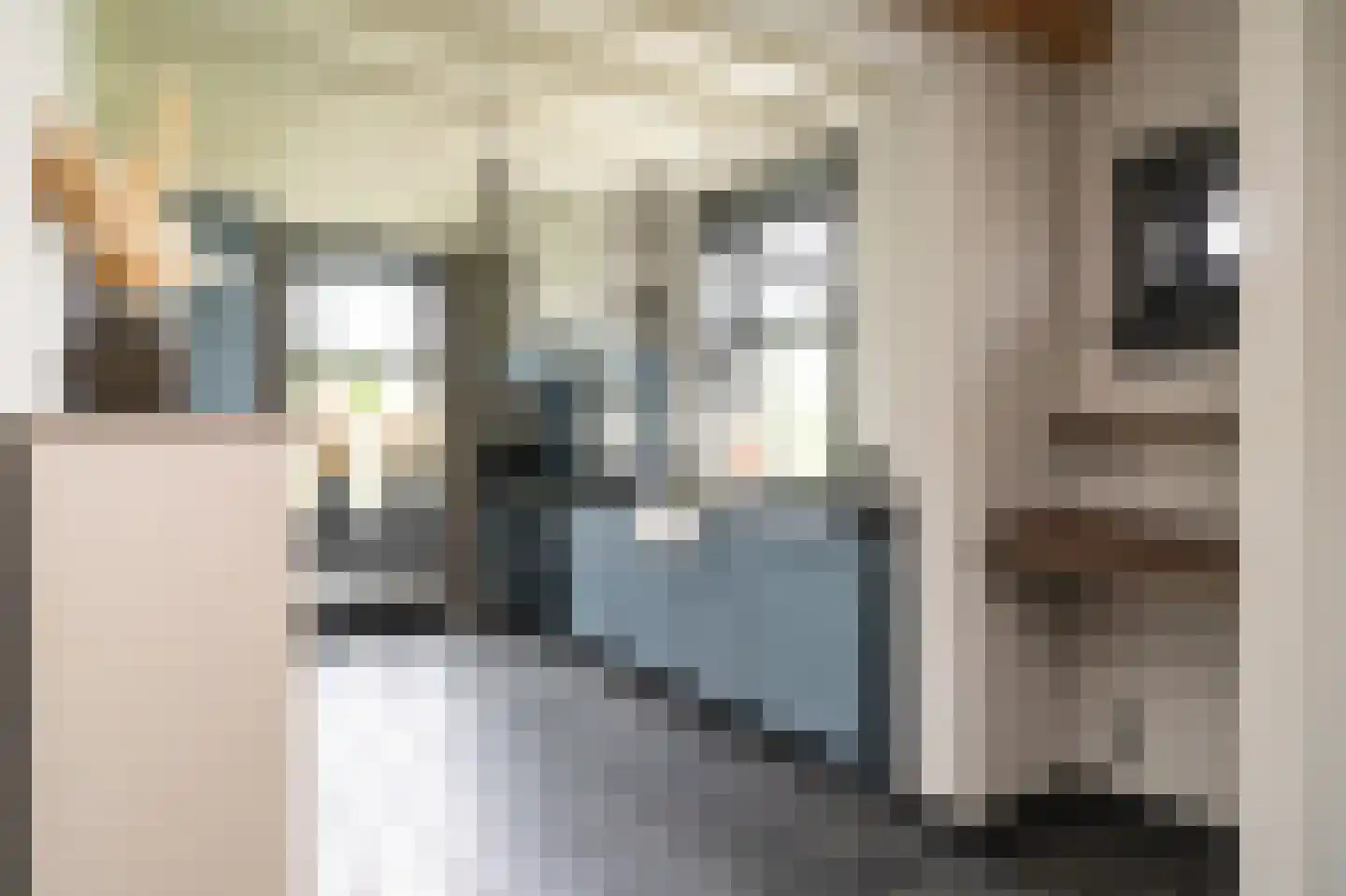 De Schans 23 Wekerom thumbnail 38